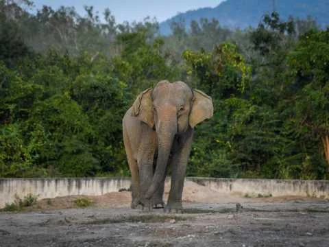Wildlife Conservation near Hua Hin — Hua Hin