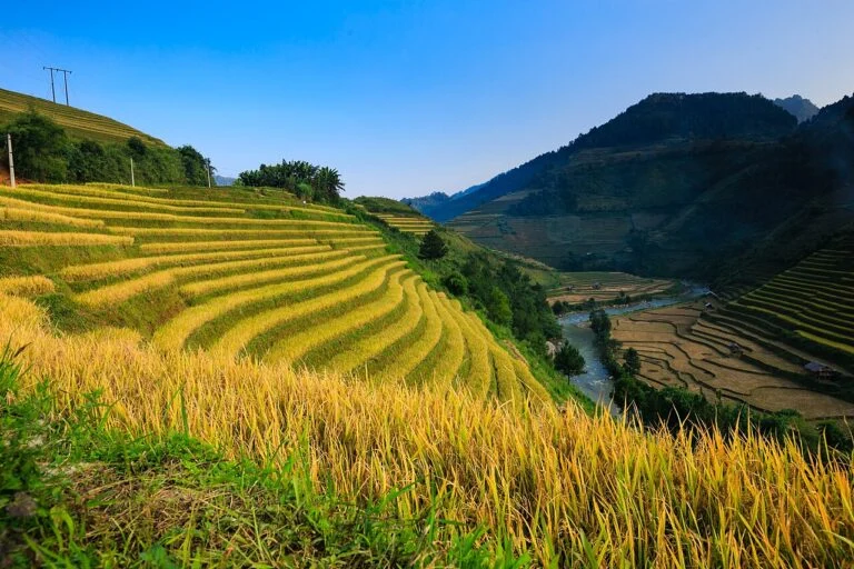Hoang Su Phi