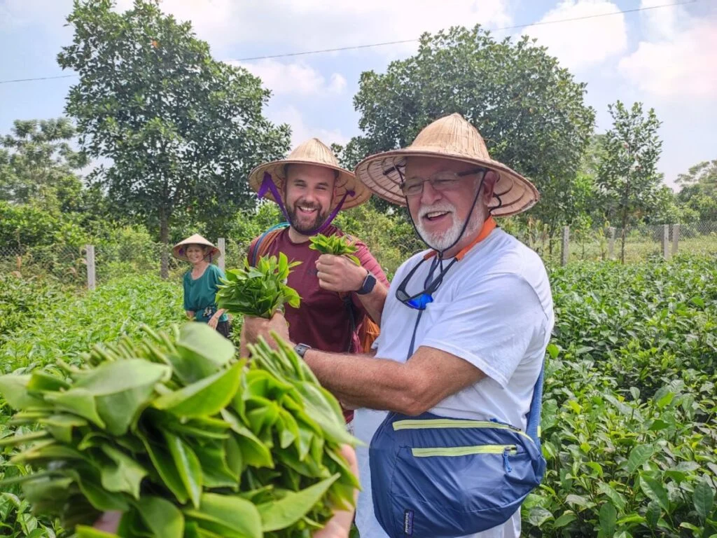 Travellers discovering tea harvesting in Ba Vi, Vietnam
