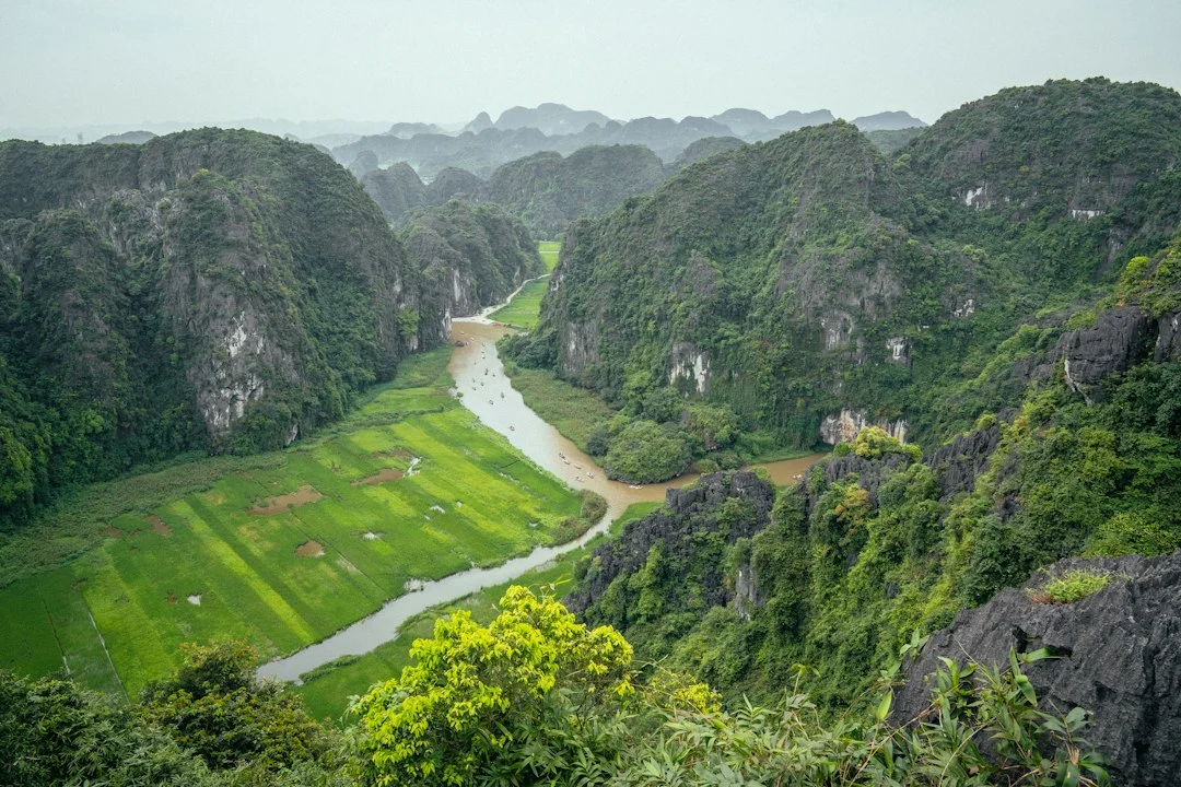Discover Vietnam