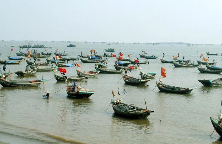 Xuan Thuy · Nam Dinh