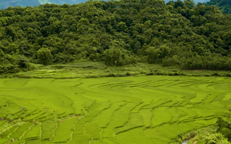 Pu Luong – tour photograph
