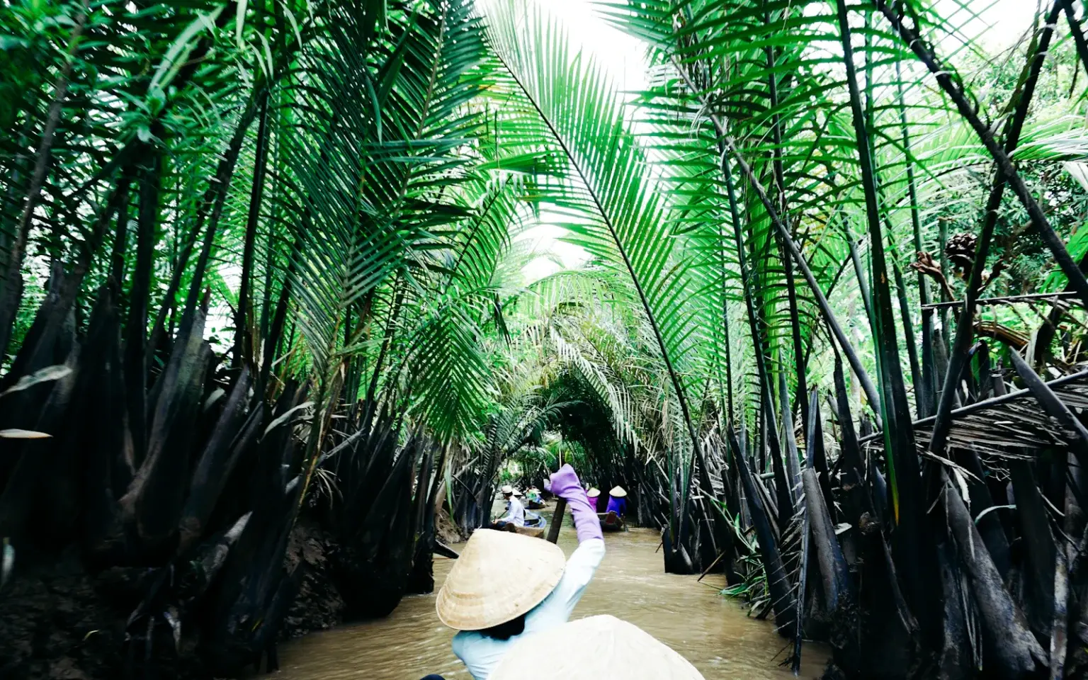 Palm-lined waterways offer a quieter view of the Mekong Delta.