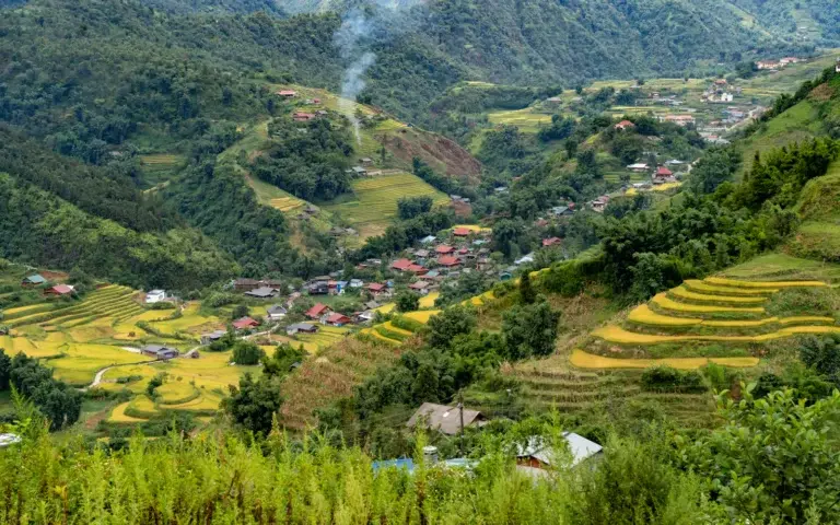 Sapa