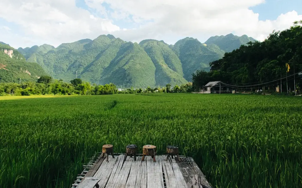 Mai Chau – tour photograph