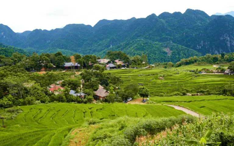 Pu Luong