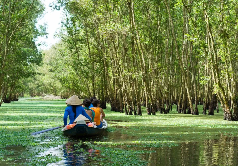 Rowing Boat in Mekong Delta
